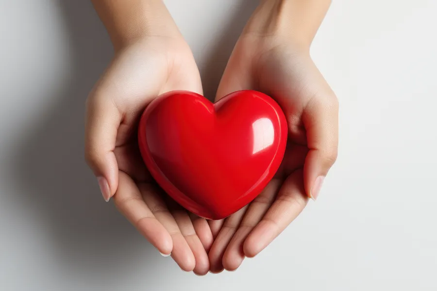 Two hands hold a red plastic heart. Schedule cardiovascular and lipid assessment from Morgan Burns, APRN in New Smyrna Beach.