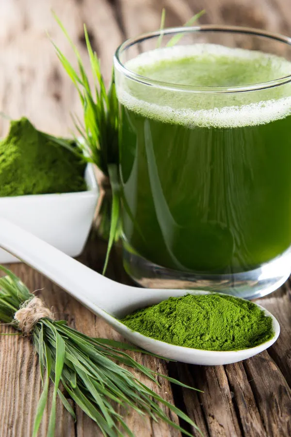 Green herbs, powders and juice. Get Immune Optimization Peptide Treatment from Morgan Burns, APRN in New Smyrna Beach.