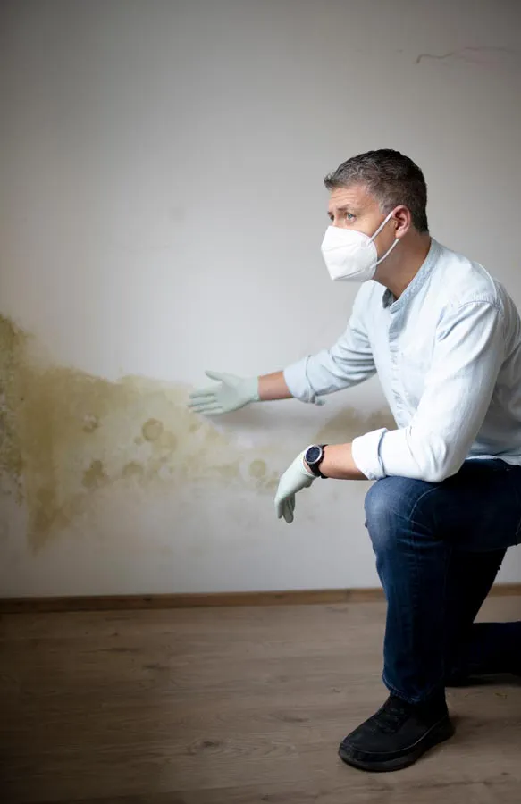 A building professional in a protective mask points out mold damage on a wall. Get treatment for mold and mycotoxin illness from Morgan Burns, APRN in New Smyrna Beach.